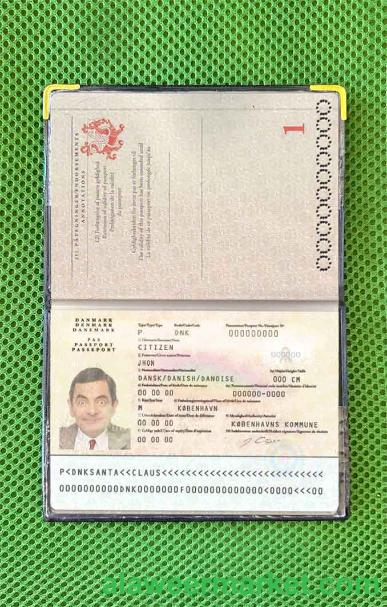 Denmark passport photo look
